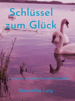 cover image of Schlüssel zum Glück